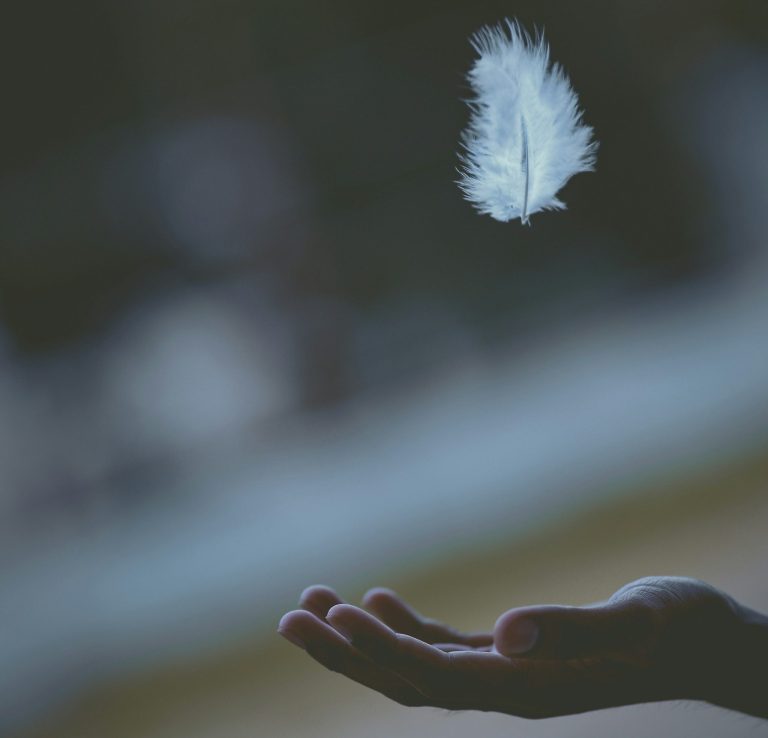 A moment of stillness Hand outstretched with a white feather floating down above it, anxiety counselling Exeter